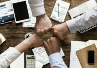 Collaborateur équipe