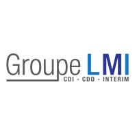 groupe_lmi_logo Groupe LMI Logo